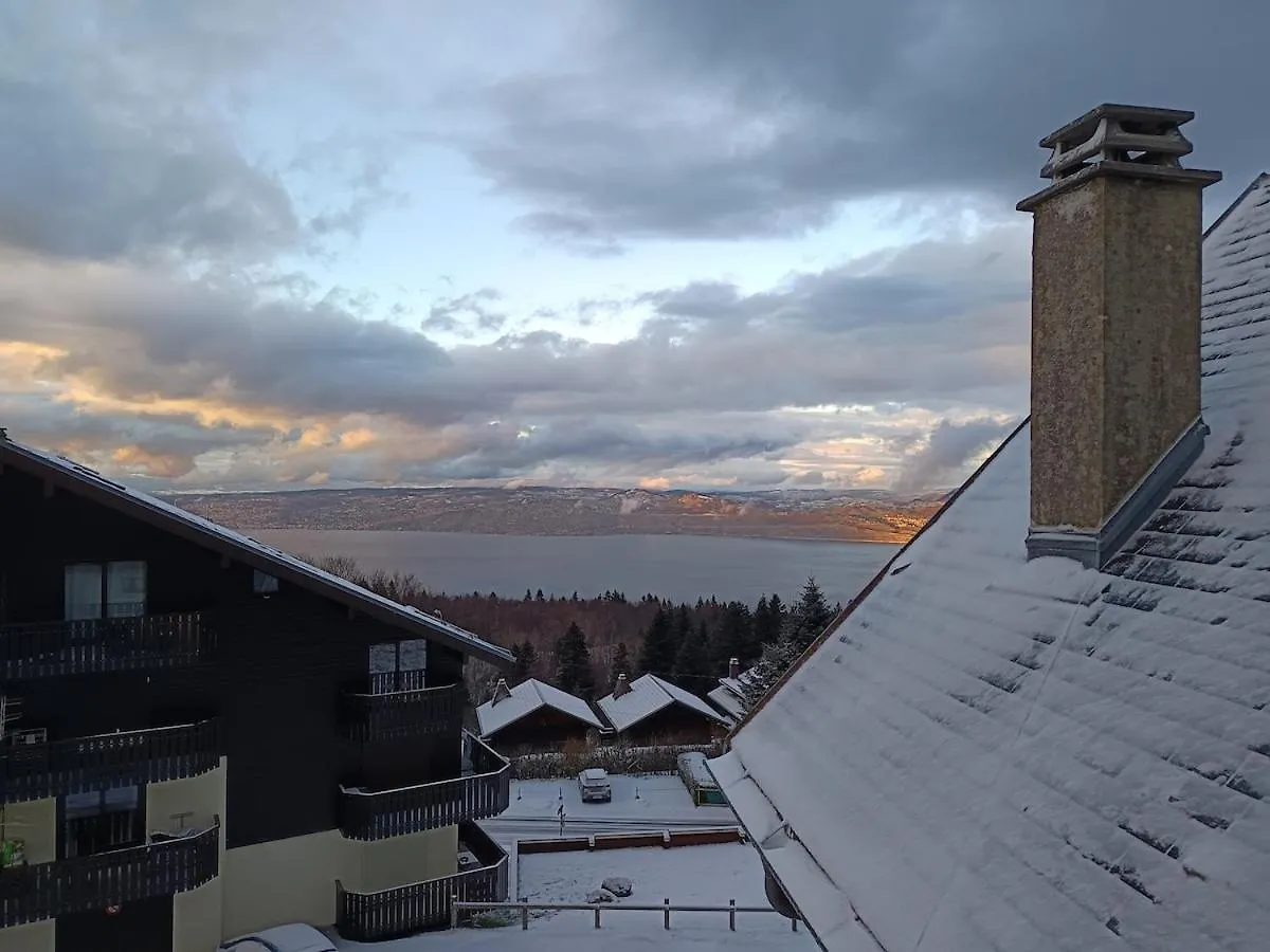 Chalet Au Coeur De La Station Thollon-les-Memises
