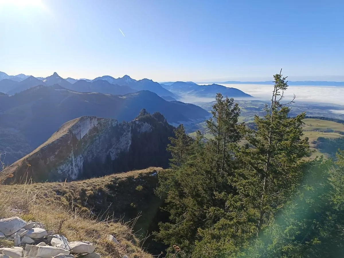 Chalet Au Coeur De La Station Thollon-les-Memises 法国